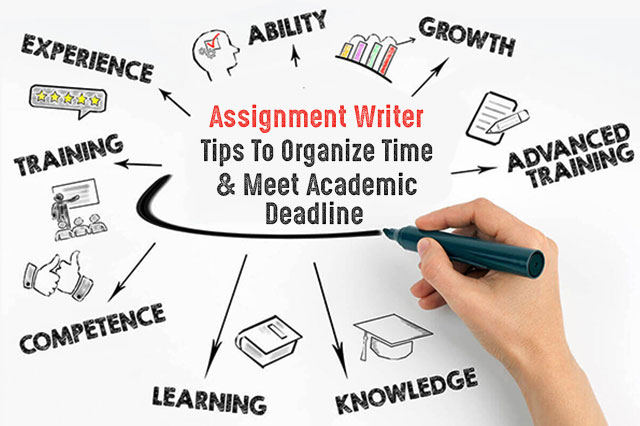 Assignment Help, Online Assignment Help, Assignment Writer